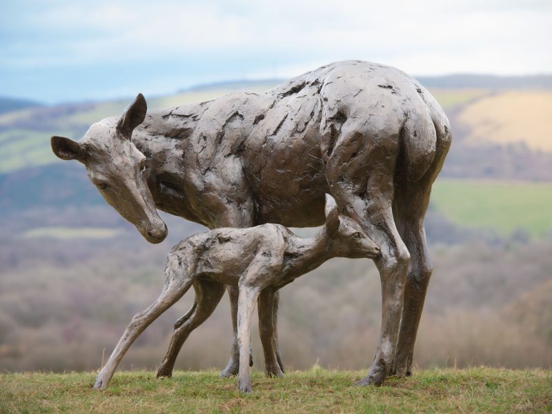 RED DEER MOTHER AND FAWN