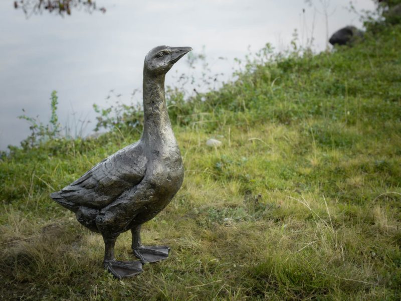 LIFE-SIZED GOOSE LOOKING UP SCULPTURE