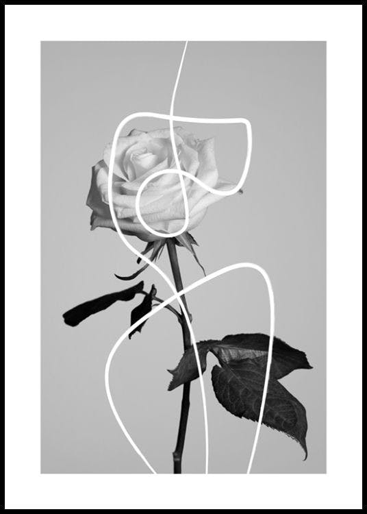 Flower Shapes Poster