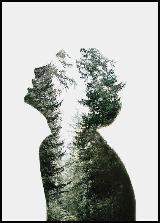 Dreams of Nature Poster