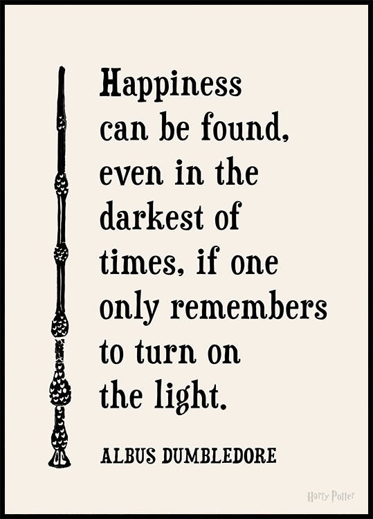 Harry Potter™ - Happiness Can Be Found Poster