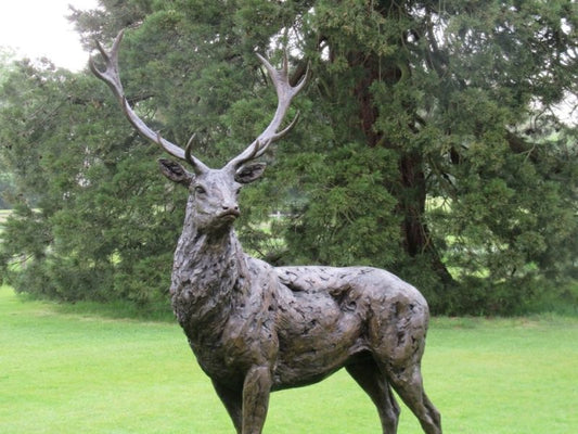 STANDING RED DEER STAG SCULPTURE