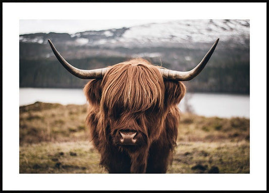Highland Poster