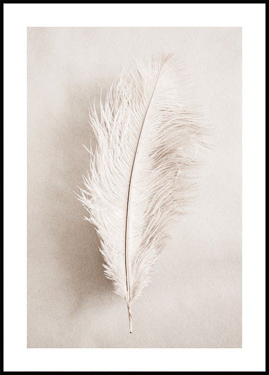 As a Feather Poster