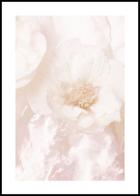 Faded Roses Poster