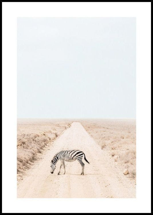 Striped Journey Print