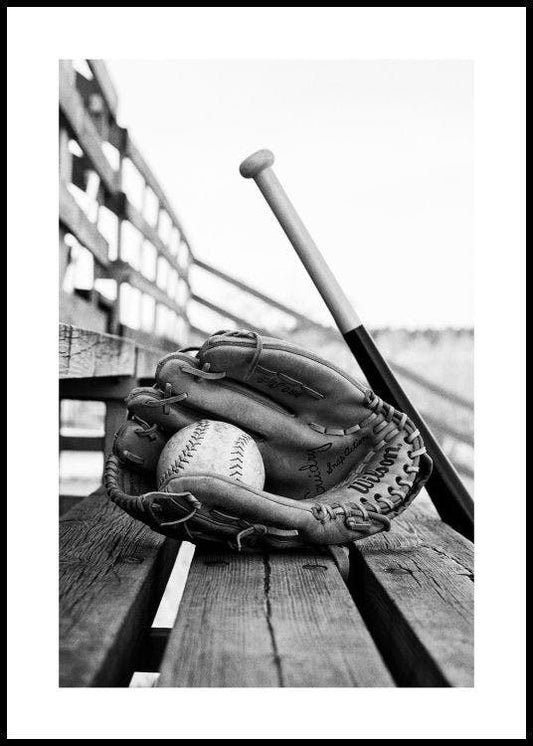 Baseball Essentials Poster