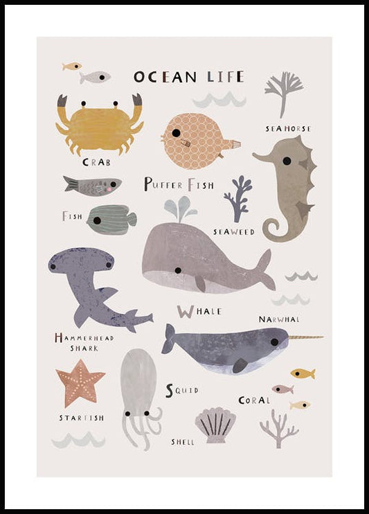 Ocean Life Poster