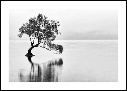 Wanaka Tree Poster