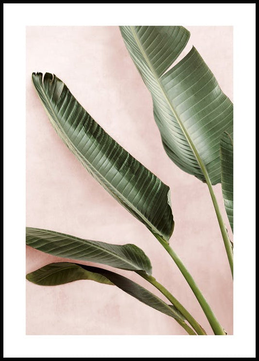 Green Plants Poster