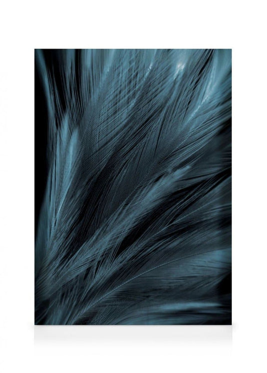 Dark Blue Feathers Canvas Print
