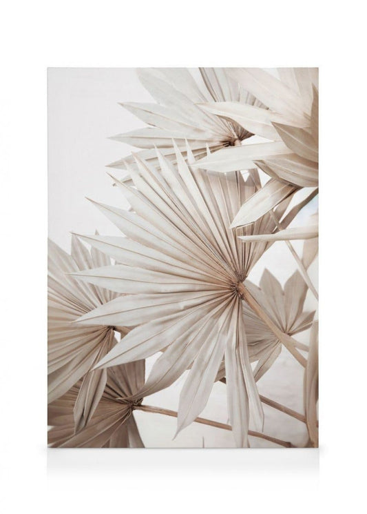 Beige Palm No1 Canvas