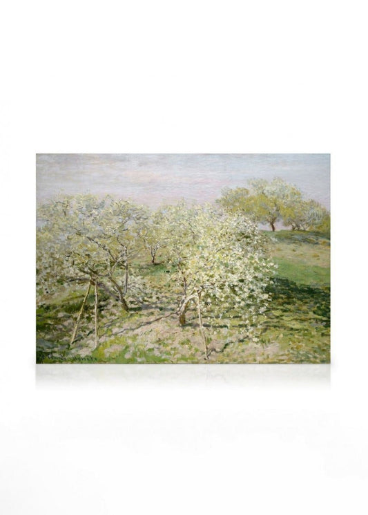 Monet - Spring (Fruit Trees in Bloom) Canvas print