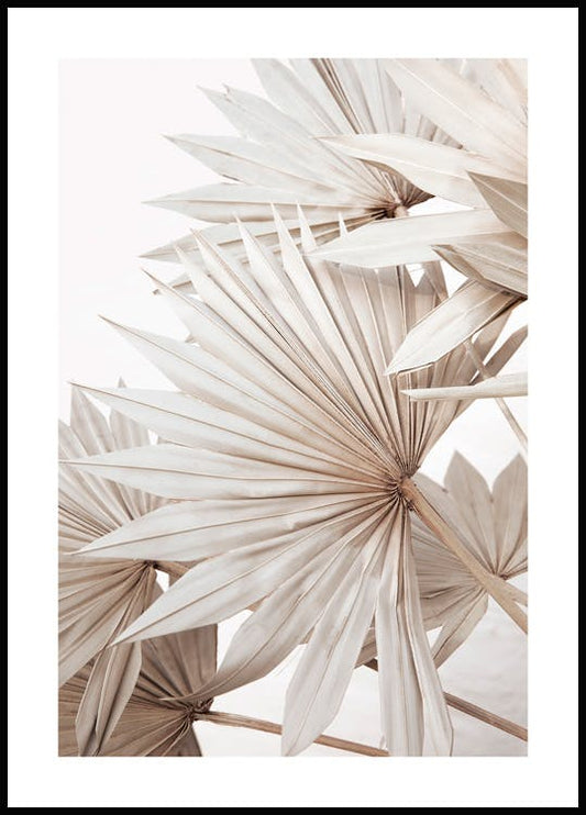 Beige Palm No1 Poster