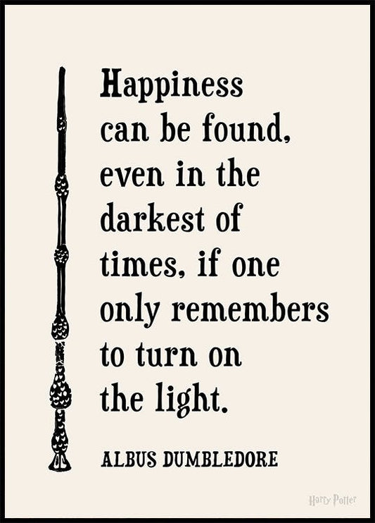 Harry Potter™ - Happiness Can Be Found Poster